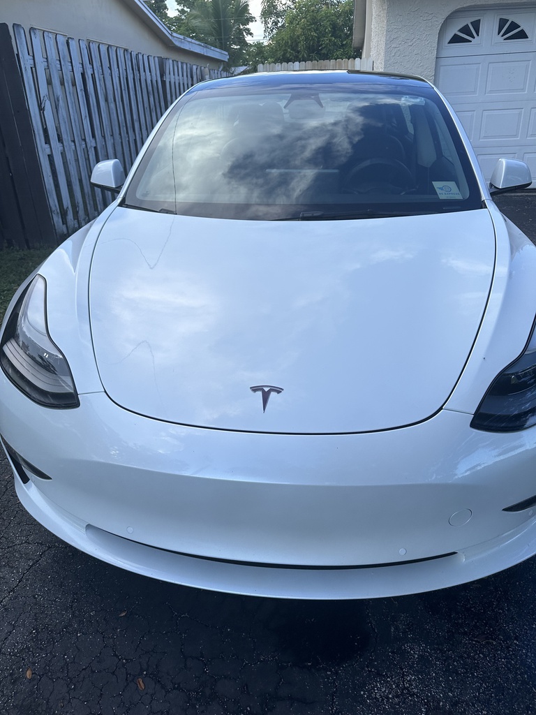 Used 2021 Tesla Model 3 Base with VIN 5YJ3E1EA7MF100836 for sale in Petaluma, CA